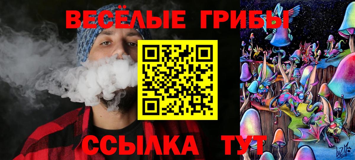 Семёнов  Псилоцибиновые грибы MAGIC MUSHROOMS  Вход с VPN 