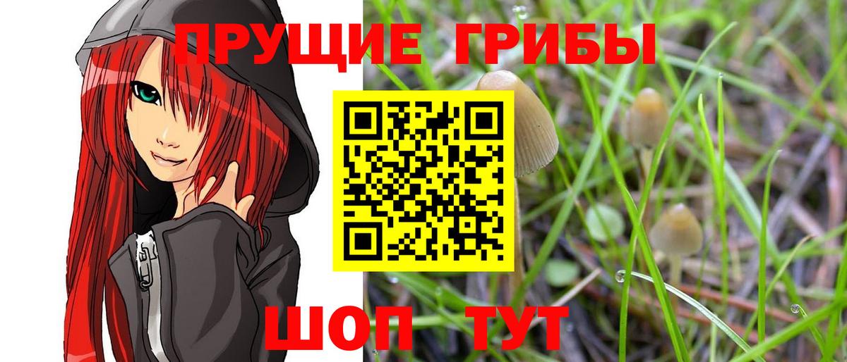 Галлюциногенные грибы GOLDEN TEACHER Семёнов