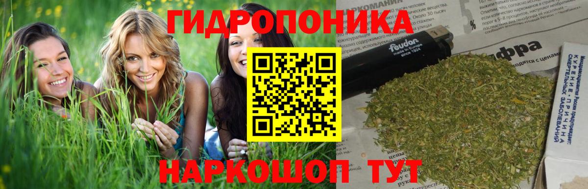 Канабис индика Семёнов